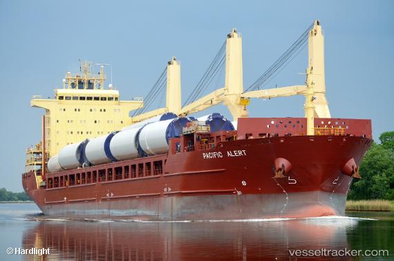 aal galveston 635a6b8d06619 - AAL GALVESTON